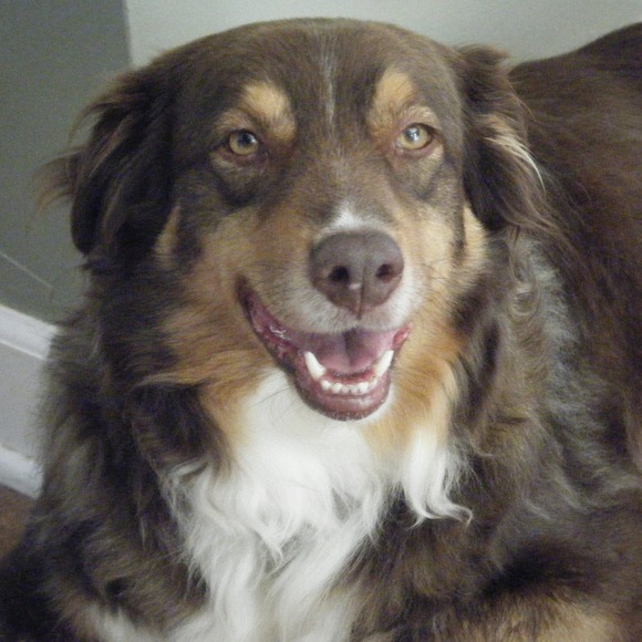 Meet your Posher, Doris - Picture 1 of 1